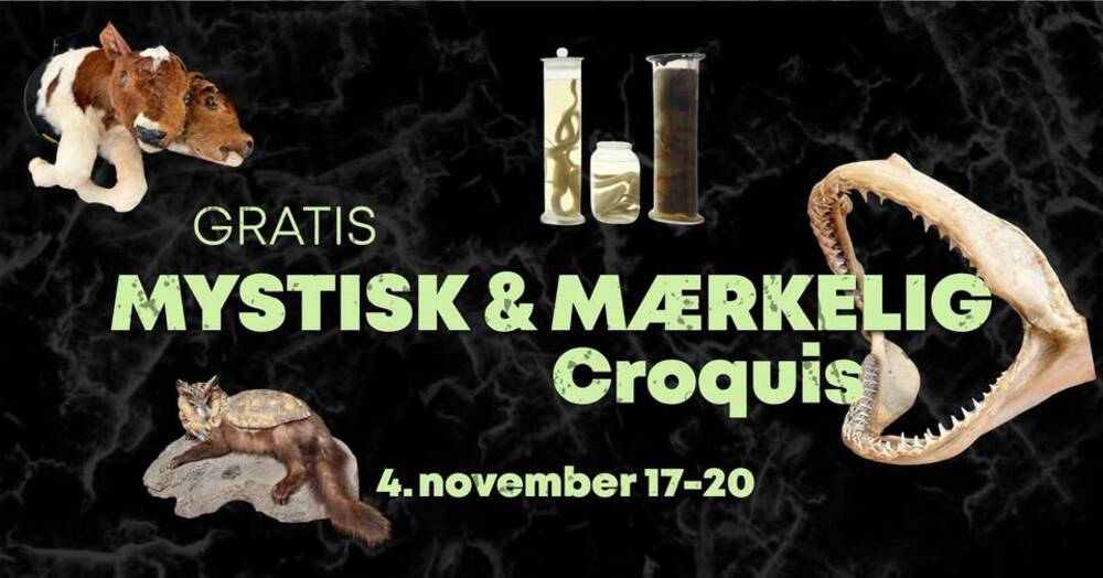 Mystisk & Mærkelig Croquis