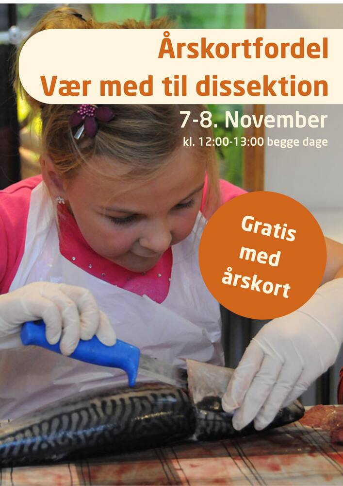 Årskortfordel